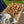 Load image into Gallery viewer, Arctic Pearl