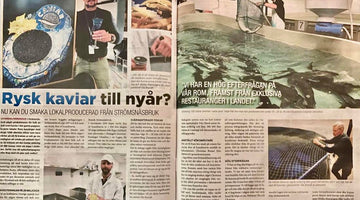 Rysk Kaviar Till Nyår?  - December 18th 2021