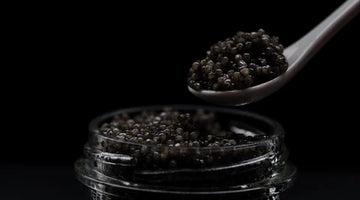 Forskare studerar skånskt vin + småländsk svart kaviar - January 30th 2023